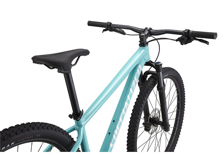 Rockhopper Expert 29