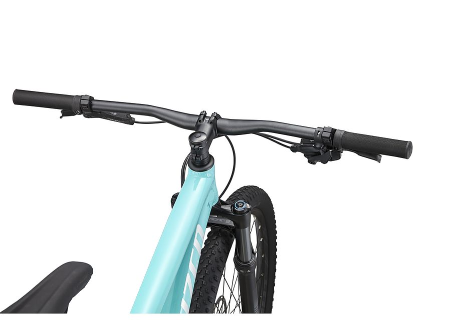 Rockhopper Expert 29