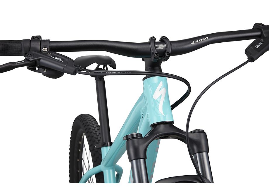 Rockhopper Expert 29