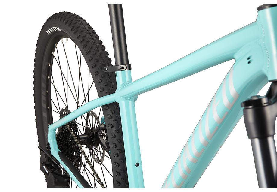 Rockhopper Expert 29