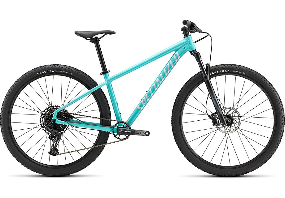 Rockhopper Expert 29
