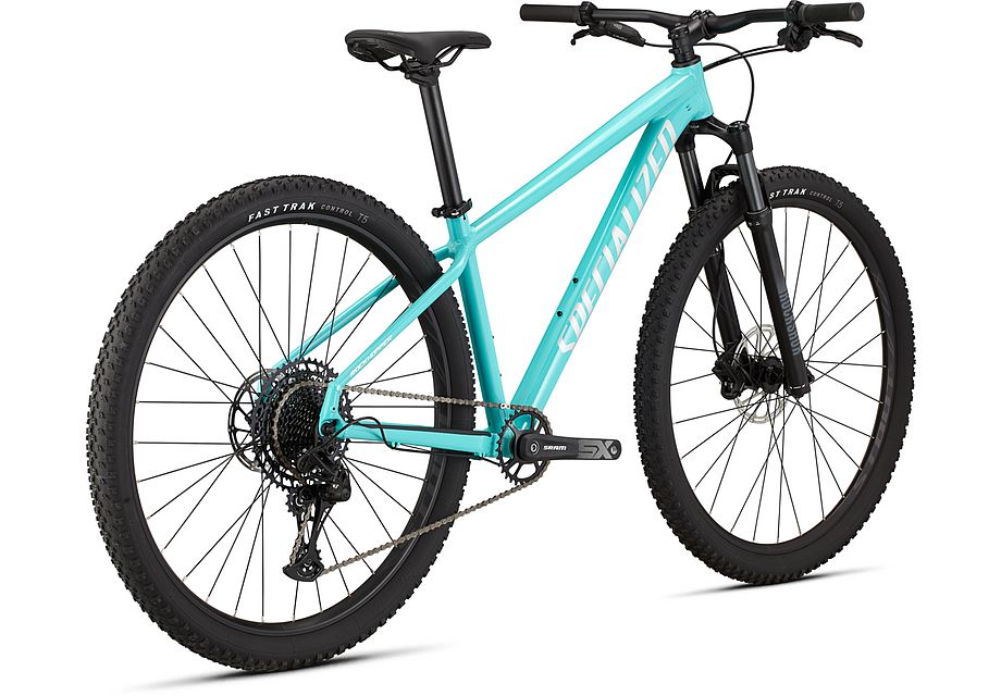 Rockhopper Expert 29