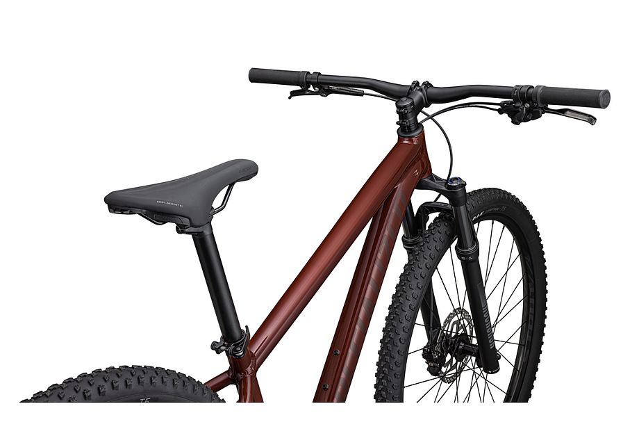 Rockhopper Expert 29