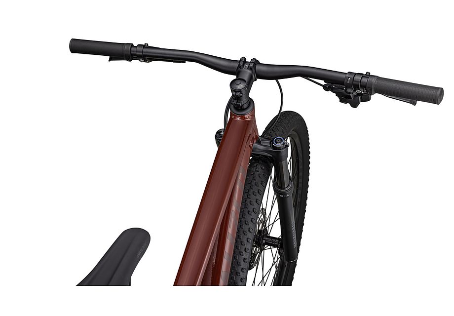Rockhopper Expert 29