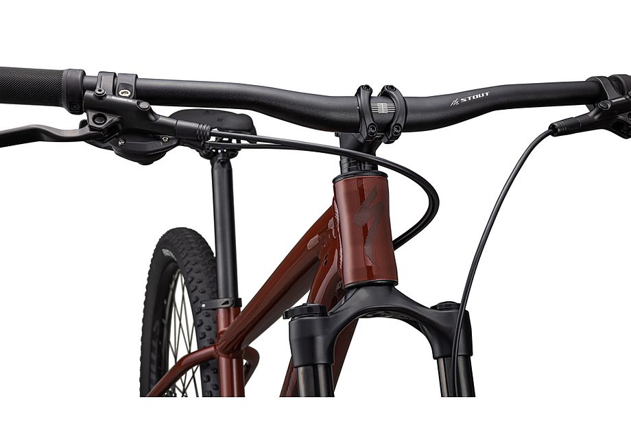 Rockhopper Expert 29