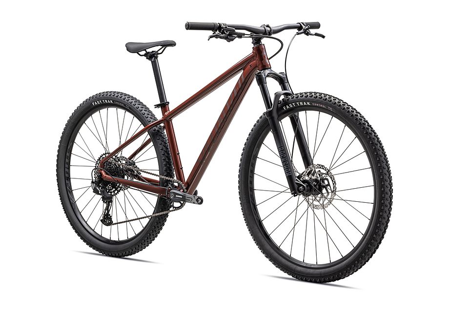 Rockhopper Expert 29