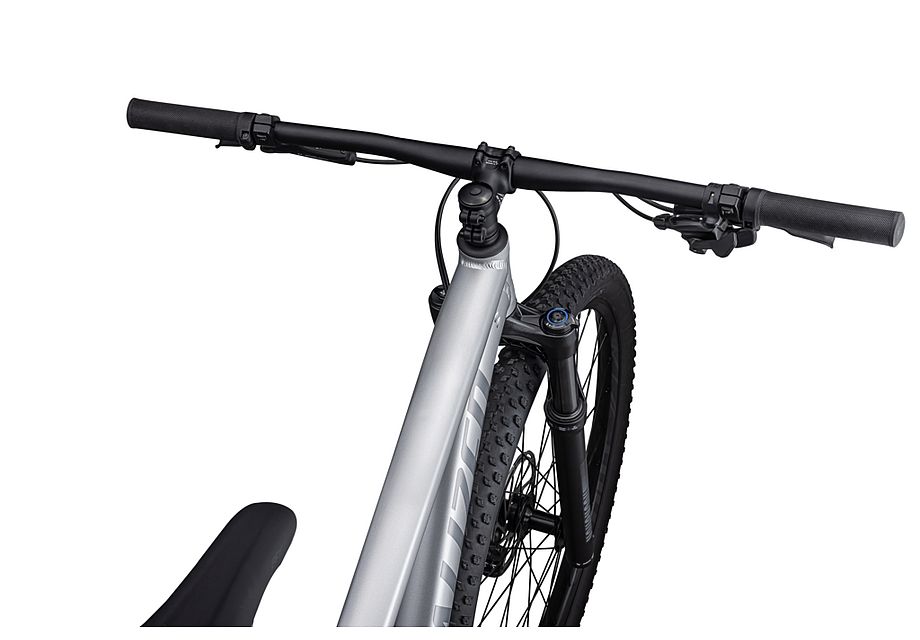 Rockhopper Expert 29