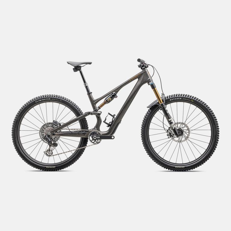 S Works Stumpjumper 15