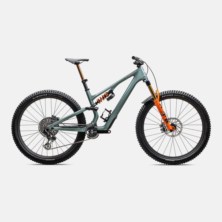 Specialized s works stumpjumper online