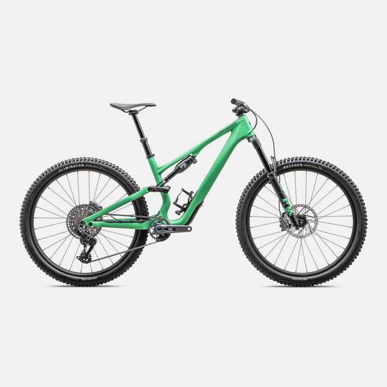 Stumpjumper 15 Expert  - SRAM GX AXS, FOX Performance Elite