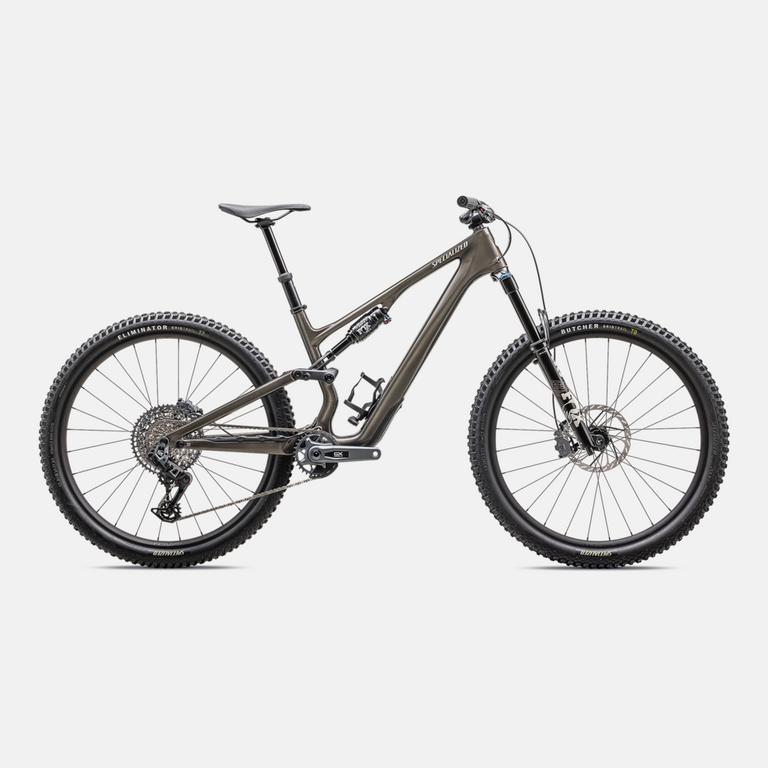Stumpjumper 15 Expert  - SRAM GX AXS, FOX Performance Elite