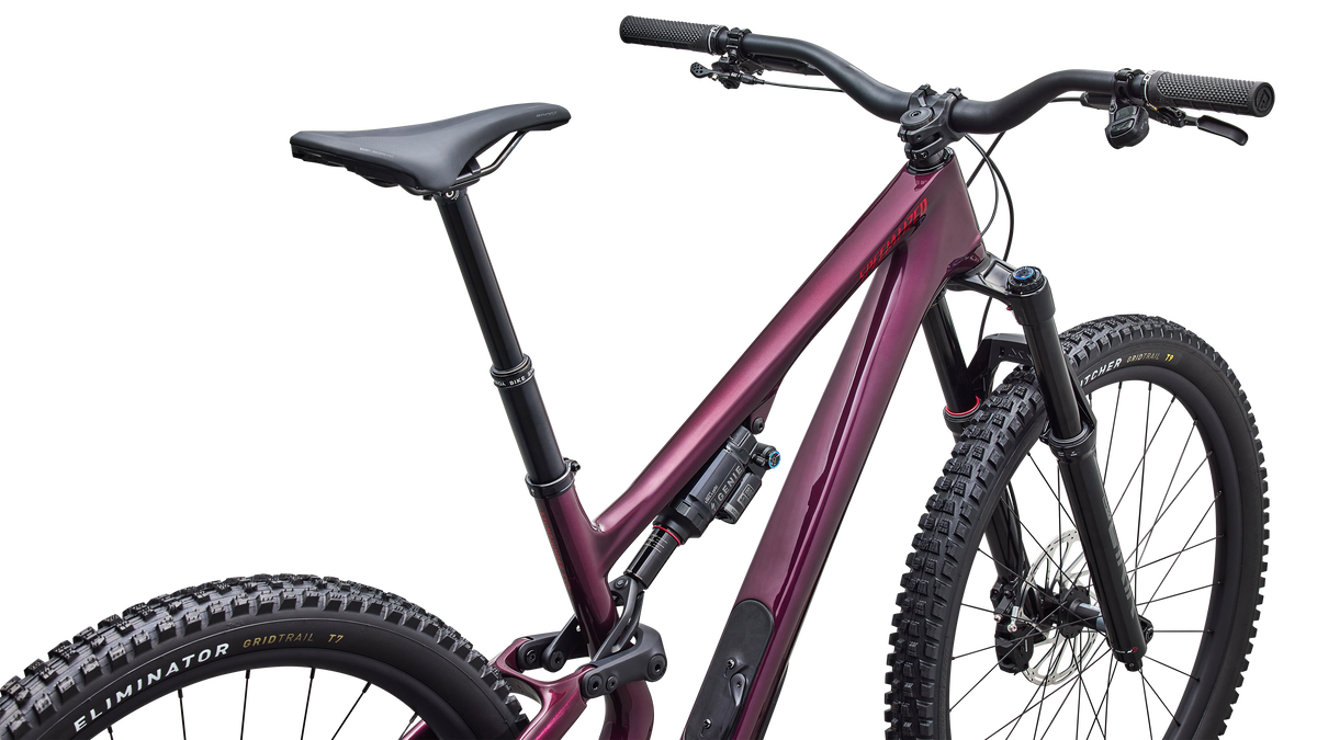 Stumpjumper 15 EVO Expert