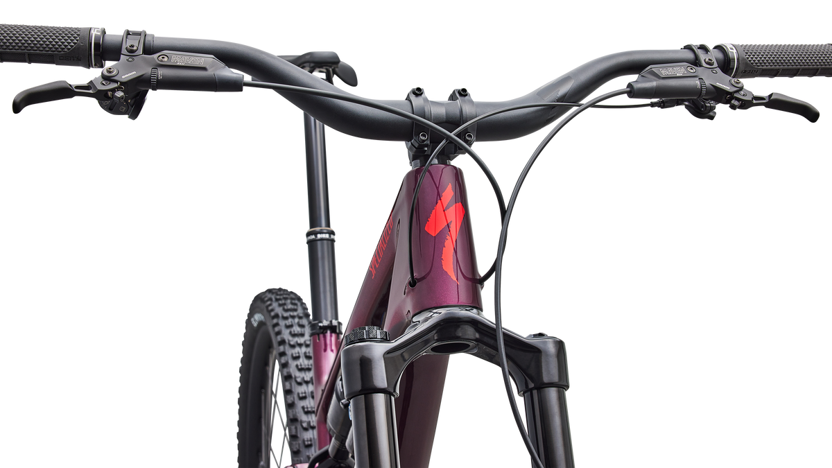Stumpjumper 15 EVO Expert