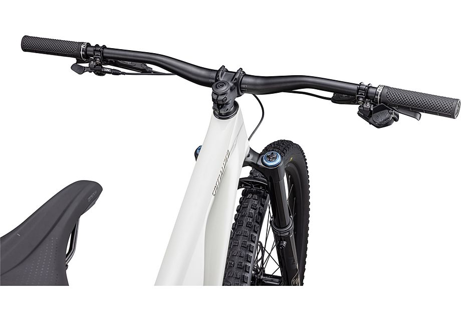 Stumpjumper EVO Expert - SRAM GX Eagle AXS, FOX Performance Elite