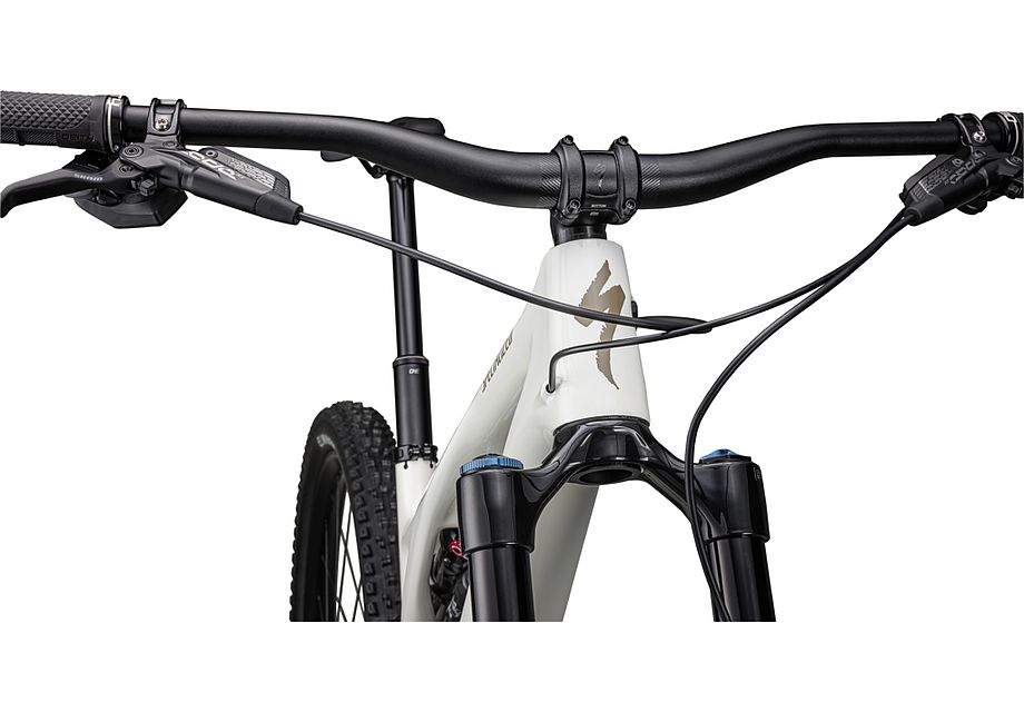 Stumpjumper EVO Expert - SRAM GX Eagle AXS, FOX Performance Elite