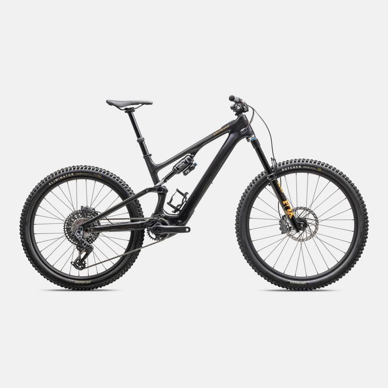 Turbo Levo SL 2 Expert