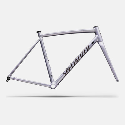 Crux DSW Frameset - D'Aluisio Smartweld Alloy