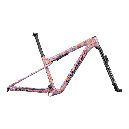 Specialized epic frame for sale sale