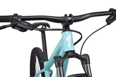 Rockhopper Expert 29