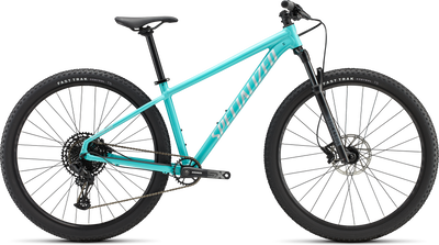 Rockhopper Expert 29