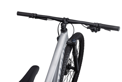 Rockhopper Expert 29