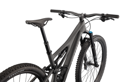 Stumpjumper Comp