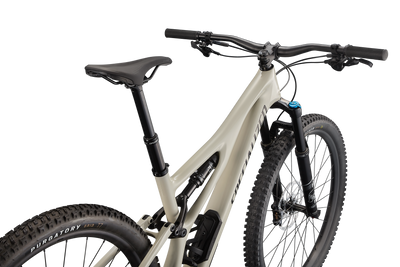 Stumpjumper Comp