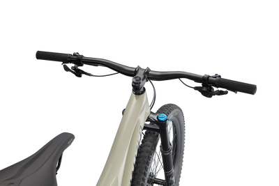 Stumpjumper Comp