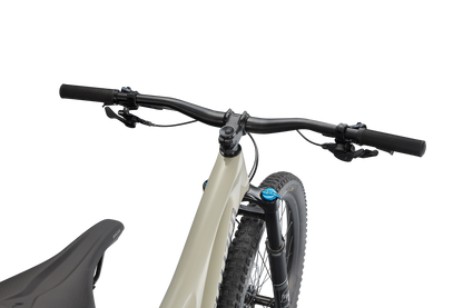 Stumpjumper Comp