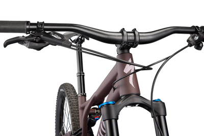 Stumpjumper Comp Alloy  - SRAM NX Eagle, Fox Rhyhm