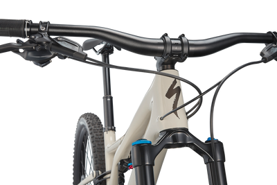 Stumpjumper Expert  - SRAM GX Eagle, Fox Perormance Elite