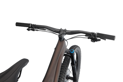 Stumpjumper Expert  - SRAM GX Eagle, Fox Perormance Elite