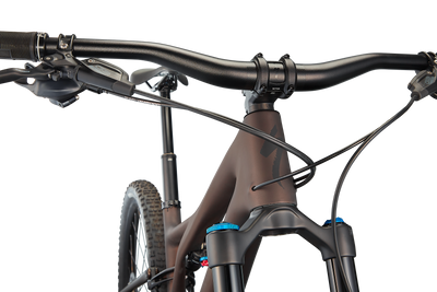 Stumpjumper Expert  - SRAM GX Eagle, Fox Perormance Elite
