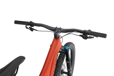 Stumpjumper Comp