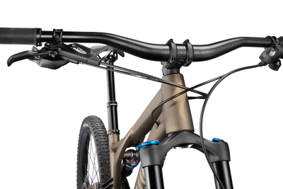 Stumpjumper Comp Alloy  - SRAM NX Eagle, Fox Rhyhm