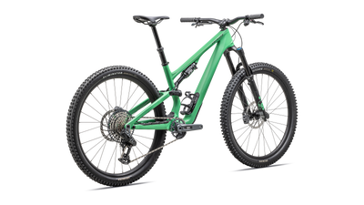 Stumpjumper 15 Expert  - SRAM GX AXS, FOX Performance Elite