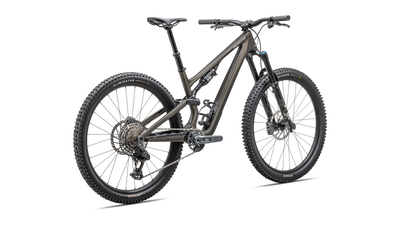 Stumpjumper 15 Expert  - SRAM GX AXS, FOX Performance Elite