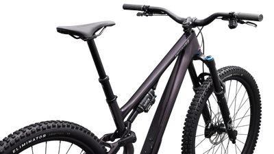 Stumpjumper 15 EVO Expert  - SRAM GX AXS, FOX Performance Elite