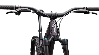 Stumpjumper 15 EVO Expert  - SRAM GX AXS, FOX Performance Elite
