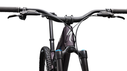 Stumpjumper 15 EVO Expert  - SRAM GX AXS, FOX Performance Elite