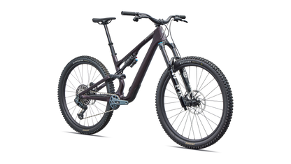 Stumpjumper 15 EVO Expert  - SRAM GX AXS, FOX Performance Elite