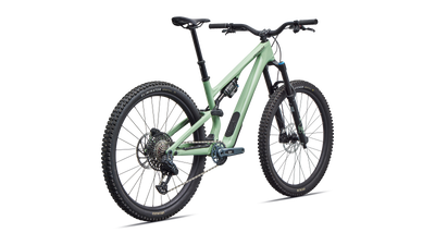 Stumpjumper 15 EVO Expert  - SRAM GX AXS, FOX Performance Elite