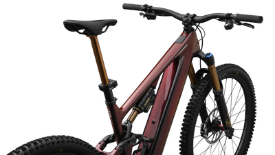 S-Works Turbo Levo 4