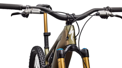 S-Works Turbo Levo 4