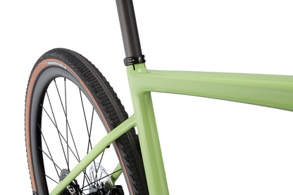 Diverge Sport Carbon