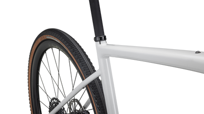 Diverge Expert Carbon - SRAM Rival eTAP AXS / GX Eagle AXS