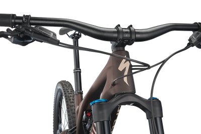 Stumpjumper EVO Comp  - SRAM GX Eagle, FOX Rhythm