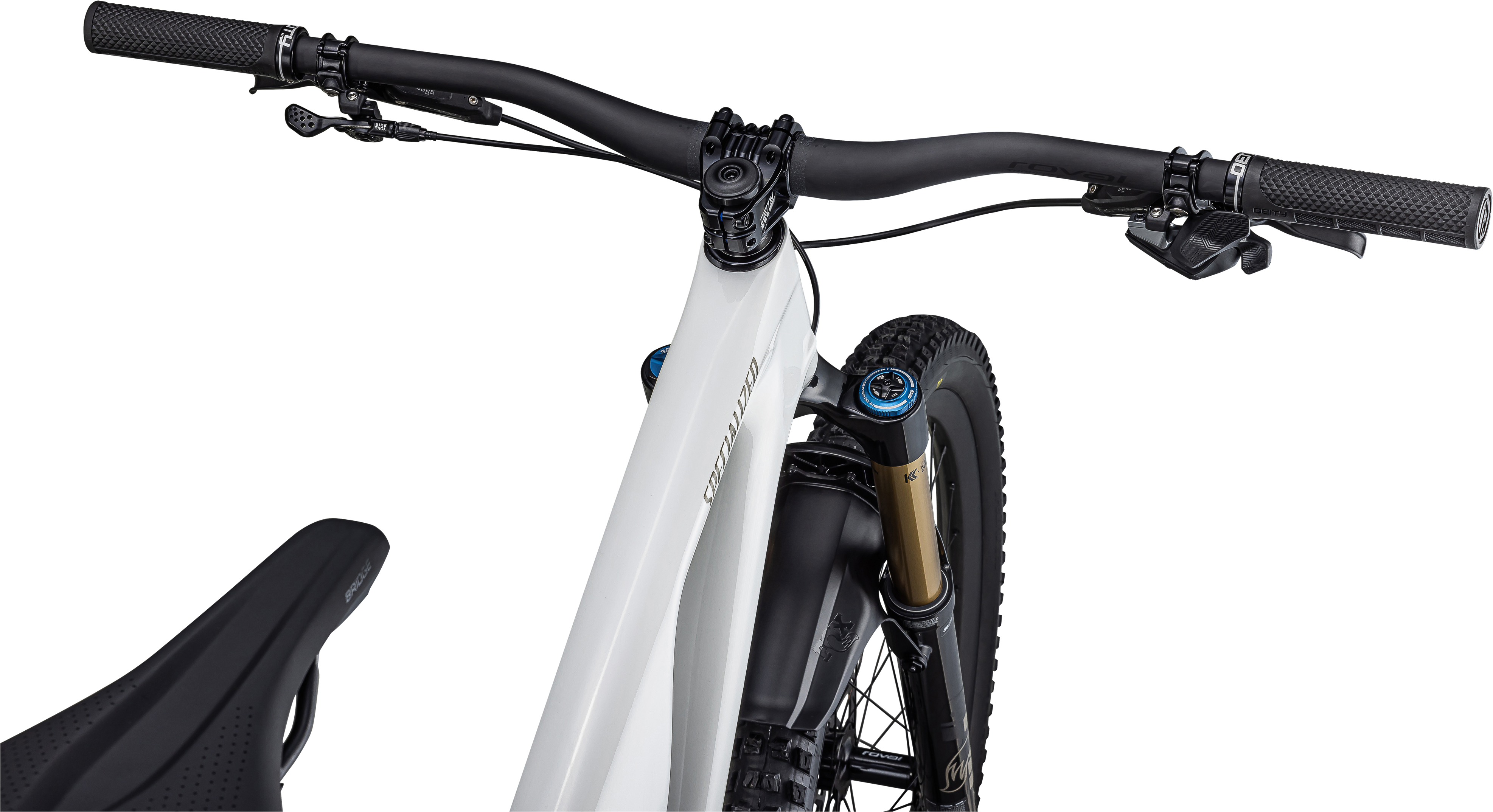 Stumpjumper EVO Pro  - SRAM X01 AXS, FOX Factory