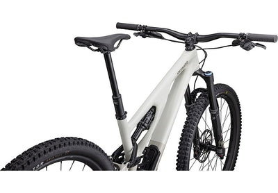 Stumpjumper EVO Expert  - SRAM GX Eagle AXS, FOX Performance Elite