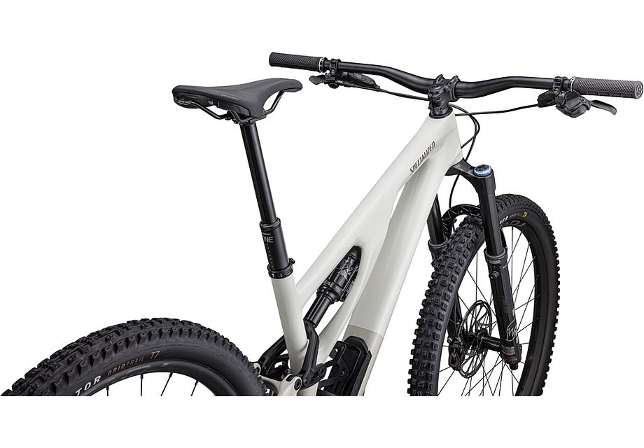 Stumpjumper EVO Expert  - SRAM GX Eagle AXS, FOX Performance Elite